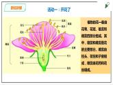 粤教粤科版科学四上1.2《开花和结果》PPT课件