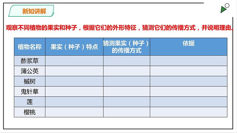 粤教粤科版科学四上1.3《种子的传播》PPT课件07