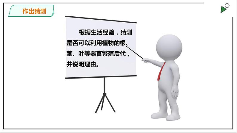 粤教粤科版科学四上1.4《专题探究：可以不用种子繁殖吗》PPT课件第7页