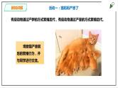 粤教粤科版科学四上1.7《胎生动物》PPT课件