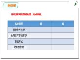 粤教粤科版科学四上1.7《胎生动物》PPT课件