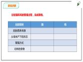 粤教粤科版科学四上1.7《胎生动物》PPT课件