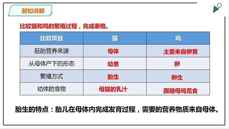 粤教粤科版科学四上1.7《胎生动物》PPT课件07