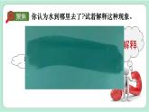 教科版三年级科学上册课件 第一单元 水 第1课时 水到哪里去了