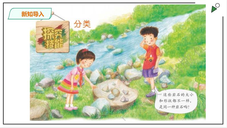 粤教粤科版科学四上《探究技能  分类》PPT课件02
