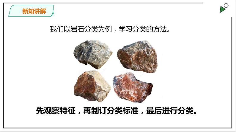 粤教粤科版科学四上《探究技能  分类》PPT课件04