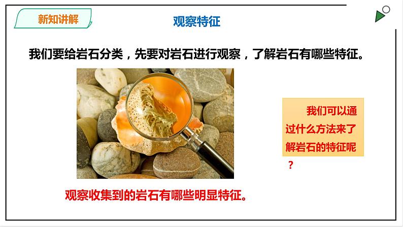 粤教粤科版科学四上《探究技能  分类》PPT课件05