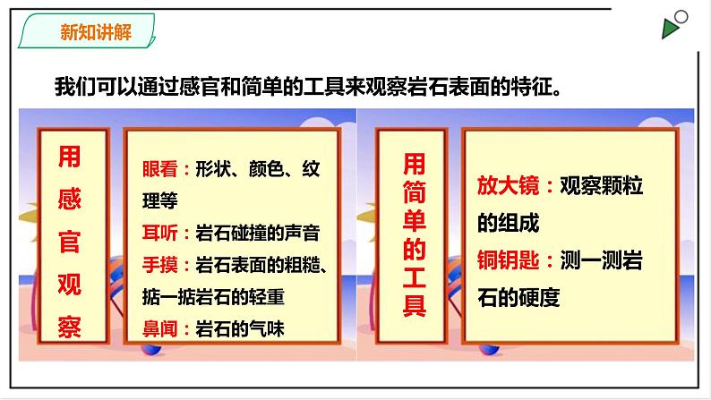 粤教粤科版科学四上《探究技能  分类》PPT课件06
