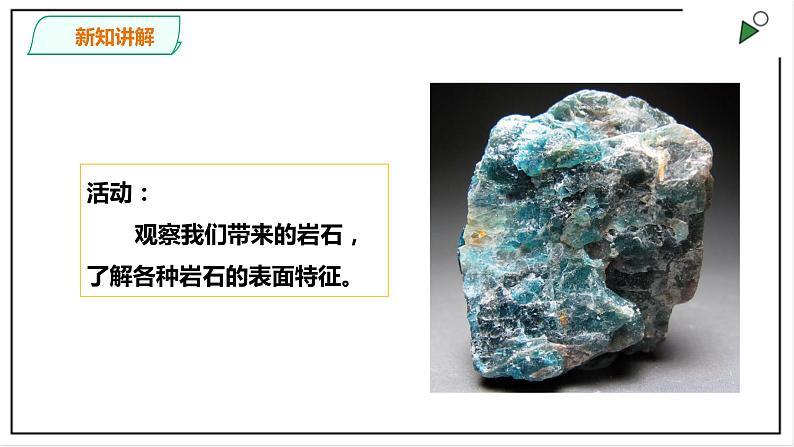 粤教粤科版科学四上《探究技能  分类》PPT课件07