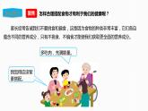 教科版（2017）四年级上册-2.6营养要均衡【课件 教案 课时练习 素材】