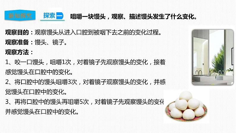 教科版（2017）四年级上册-2.7食物在口腔里的变化【课件 教案 课时练习 素材】04