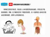 2.8 食物在身体里的旅行（课件+教学设计+课后练习+素材）