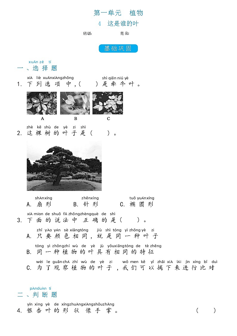 一年级上册1.4这是谁的叶双减分层同步练习（含答案)教科版（2017）第1页