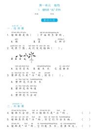 小学科学教科版 (2017)一年级上册5.植物是“活”的吗随堂练习题