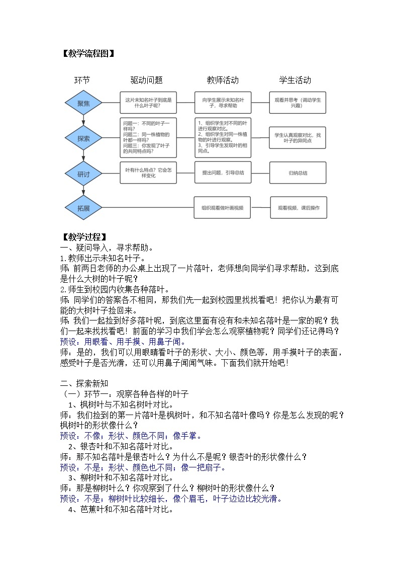 教科版（2017秋） 一年级上册1.3《观察叶》教学设计02