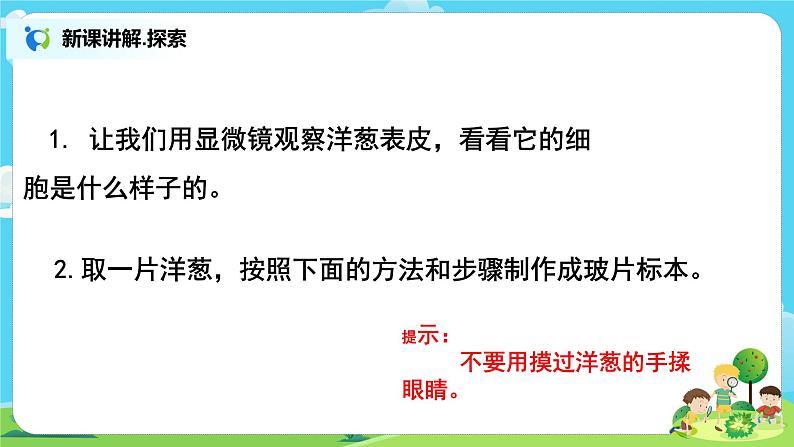 教科版（2017）6上科学4《观察洋葱表皮细胞》课件PPT+教案04