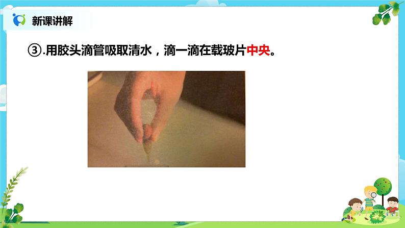 教科版（2017）6上科学4《观察洋葱表皮细胞》课件PPT+教案06