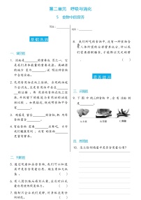 2021学年5.食物中的营养课后复习题