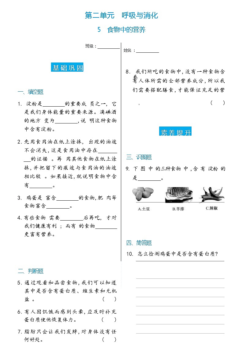 科学 四年级上册5   食物中的营养双减分层同步练习（含答案） 教科版201701
