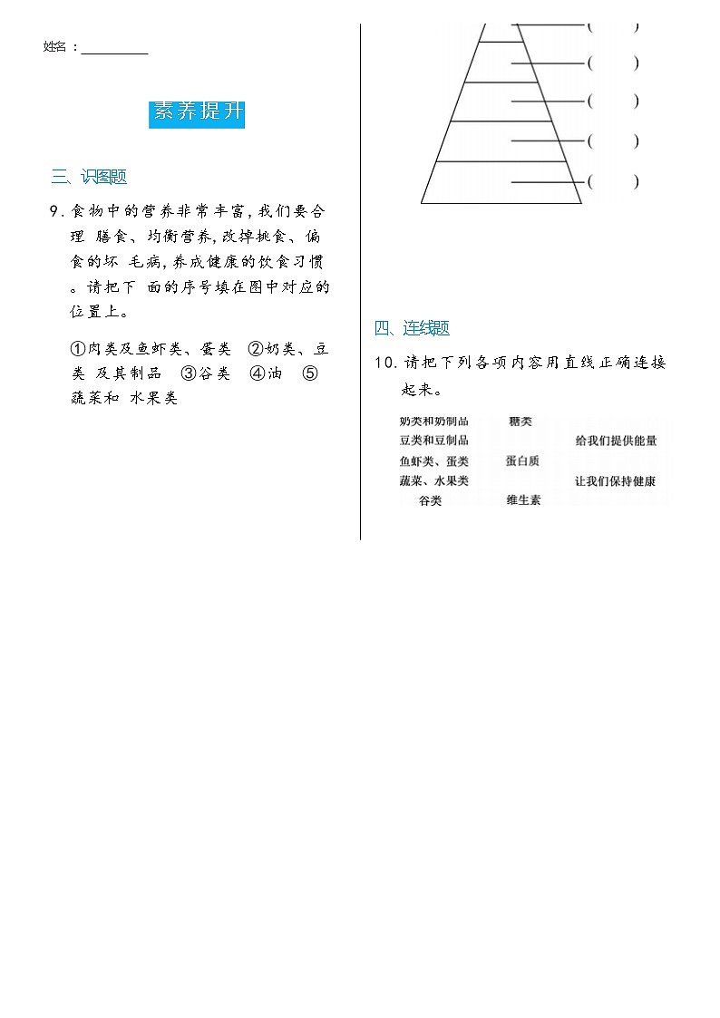 科学 四年级上册6   营养要均衡双减分层同步练习（含答案） 教科版201702