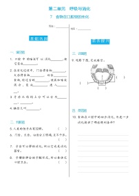 教科版 (2017)四年级上册7.食物在口腔里的变化练习题