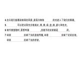 教科版（2017秋）第一单元光测试卷课件（含答案）