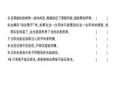 教科版（2017秋）第一单元光测试卷课件（含答案）