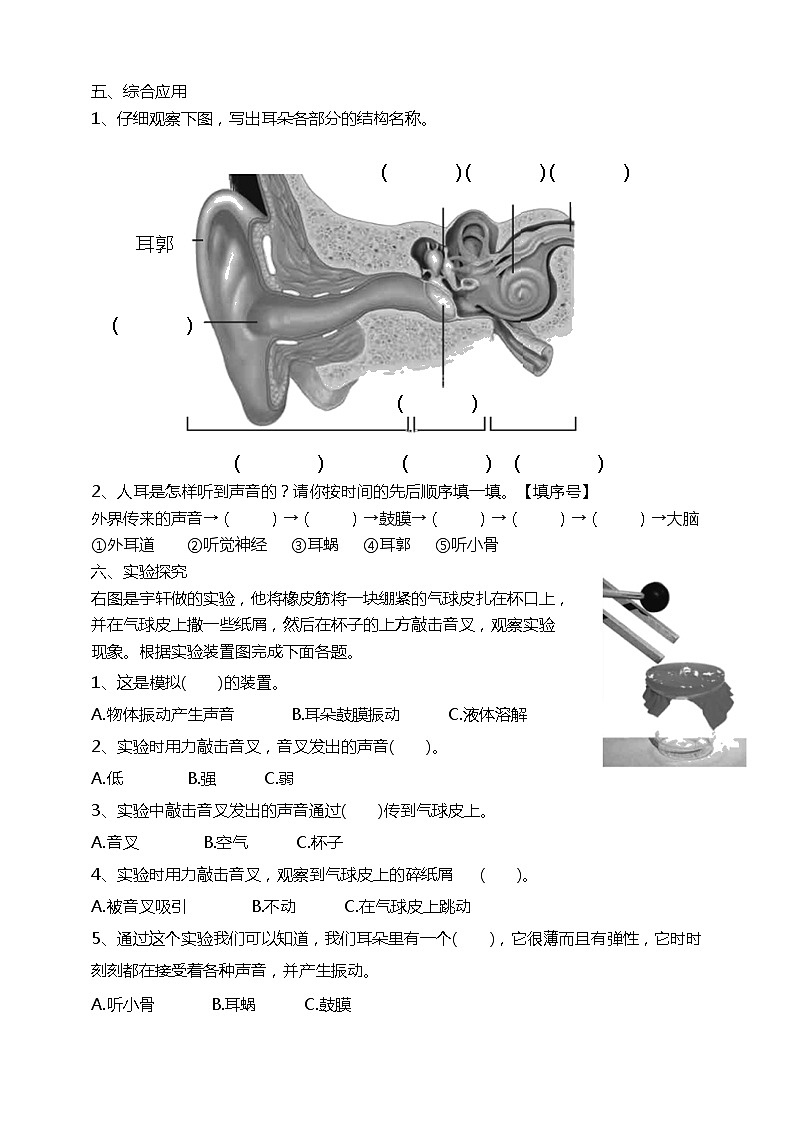 教科版（2017）四年级上册-1.4我们是怎样听到声音的 课件+教案+习题+素材02