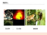 教科版2017科学6上7《昼夜和四季变化对生物的影响》课件PPT+教案