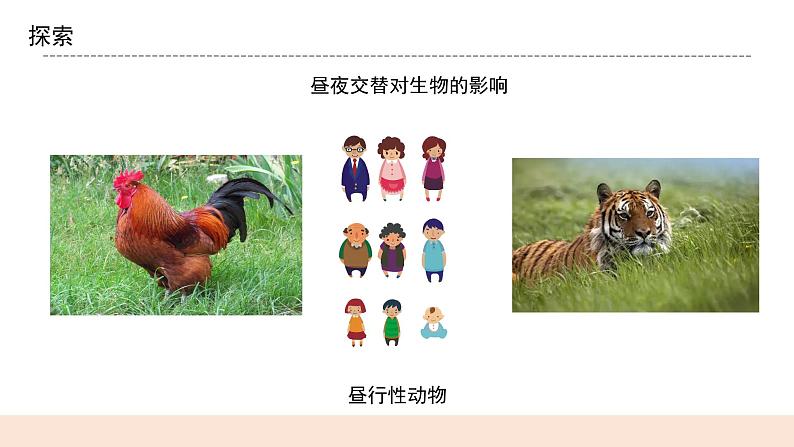 教科版2017科学6上7《昼夜和四季变化对生物的影响》课件PPT+教案07