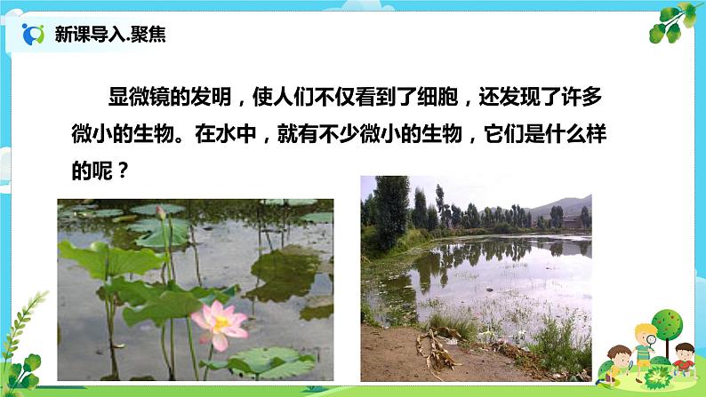 教科版（2017）6上科学6《观察水中微小的生物》课件PPT+教案03