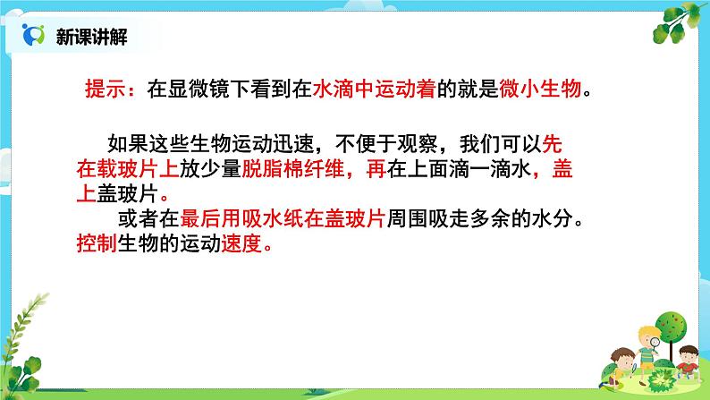 教科版（2017）6上科学6《观察水中微小的生物》课件PPT+教案07