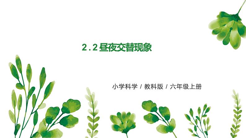 教科版（2017）6上科学2.2《昼夜交替现象》课件PPT+教案01