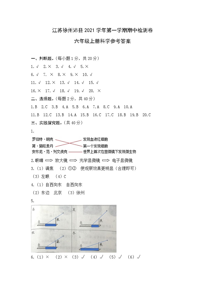江苏徐州沛县6科上期中答案第1页