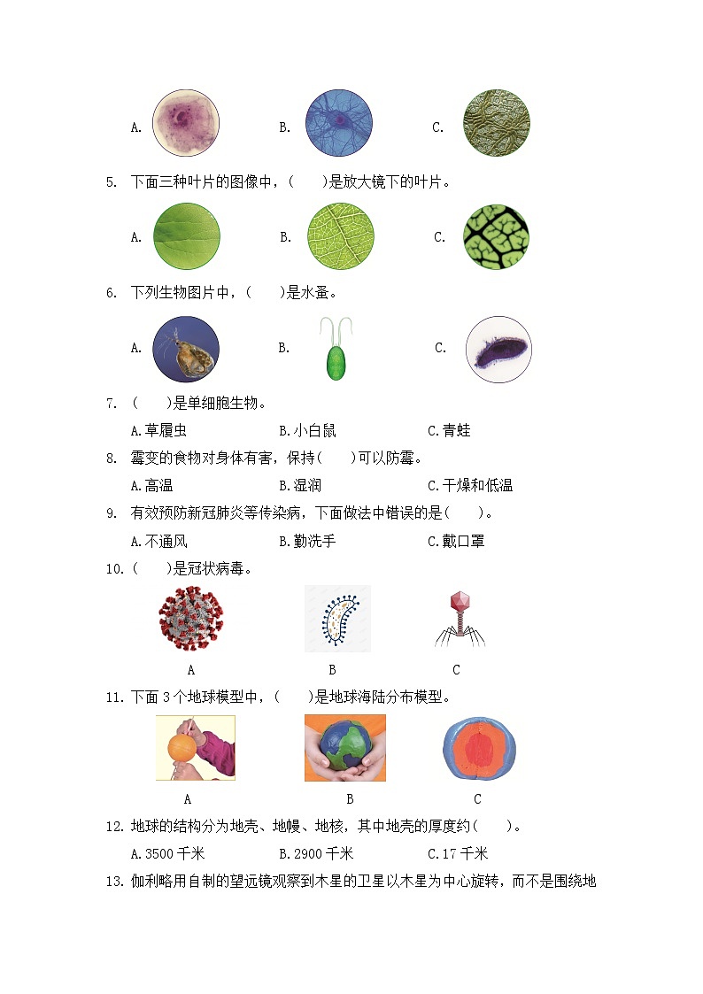 江苏徐州沛县6科上期中第3页