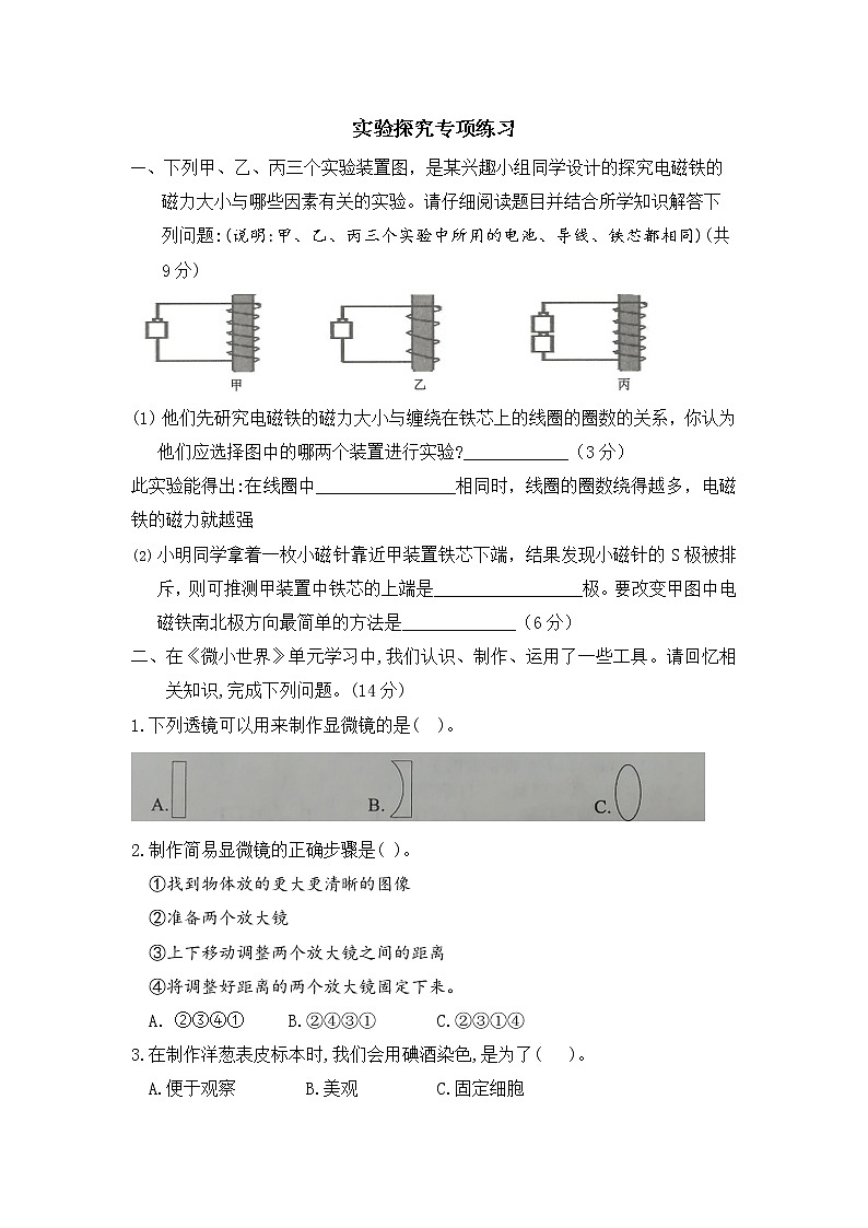 教科版科学六年级上册：实验探究专项练习 (含答案)第1页