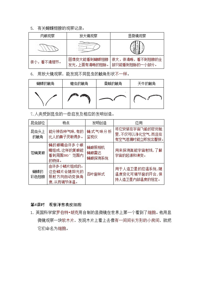 新教科版六年级上册科学-知识清单03