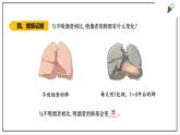 大象版四上科学 4.5 保护呼吸器官  PPT课件