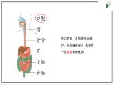 大象版四上科学 5.1 一次神奇的旅行  PPT课件