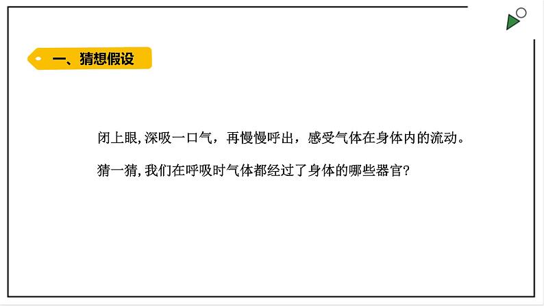 大象版四上科学 4.2 我们的呼吸器官  PPT课件第2页