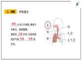 大象版四上科学 4.2 我们的呼吸器官  PPT课件