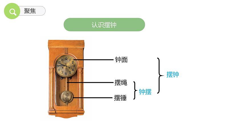 教科版(2017)科学五年级上册3.4《机械摆钟 》课件+教案05