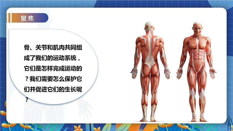 教科版(2017)科学五年级上册4.2《身体的运动》教案第2页