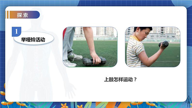 教科版(2017)科学五年级上册4.2《身体的运动》教案第3页