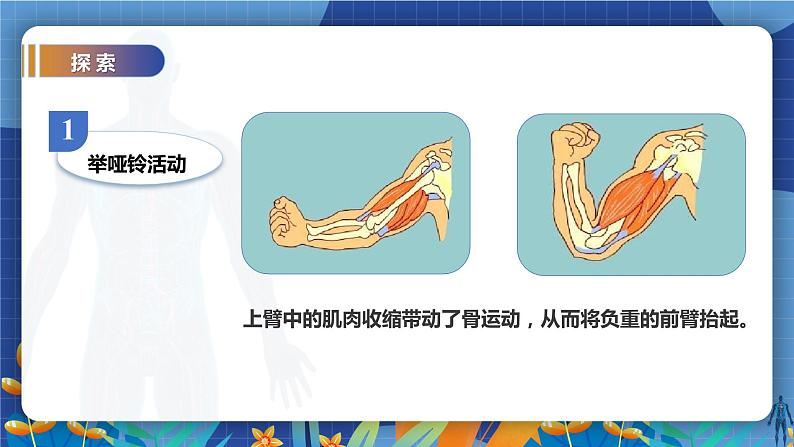 教科版(2017)科学五年级上册4.2《身体的运动》教案第4页