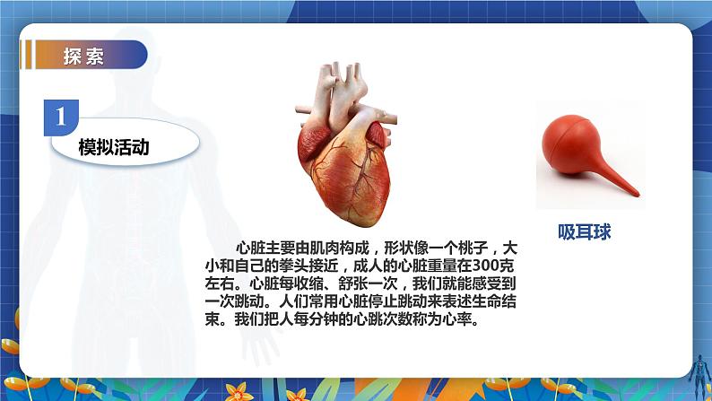 教科版(2017)科学五年级上册4.3《心脏和血液》课件+教案04