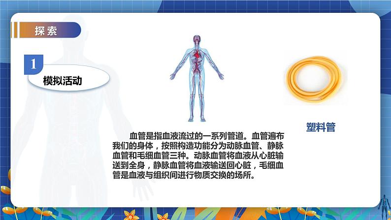 教科版(2017)科学五年级上册4.3《心脏和血液》课件+教案05