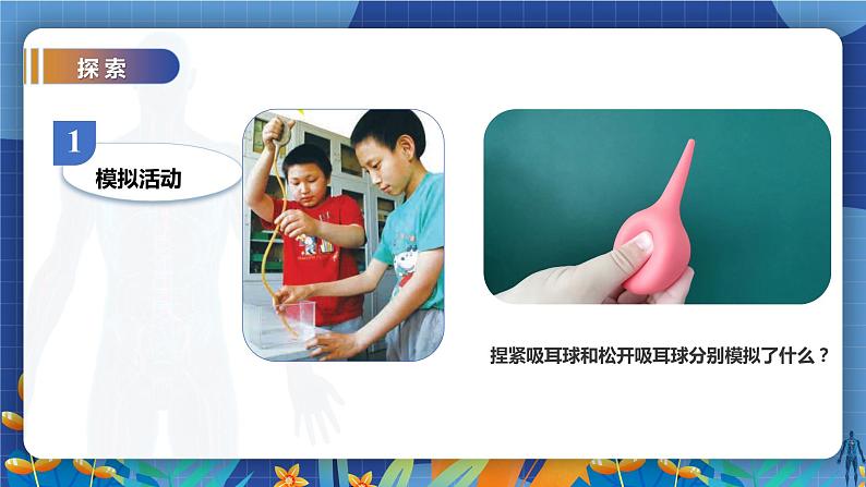 教科版(2017)科学五年级上册4.3《心脏和血液》课件+教案08