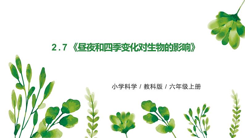 教科版（2017）6上科学2.7《昼夜和四季变化对生物的影响》课件PPT+教案01