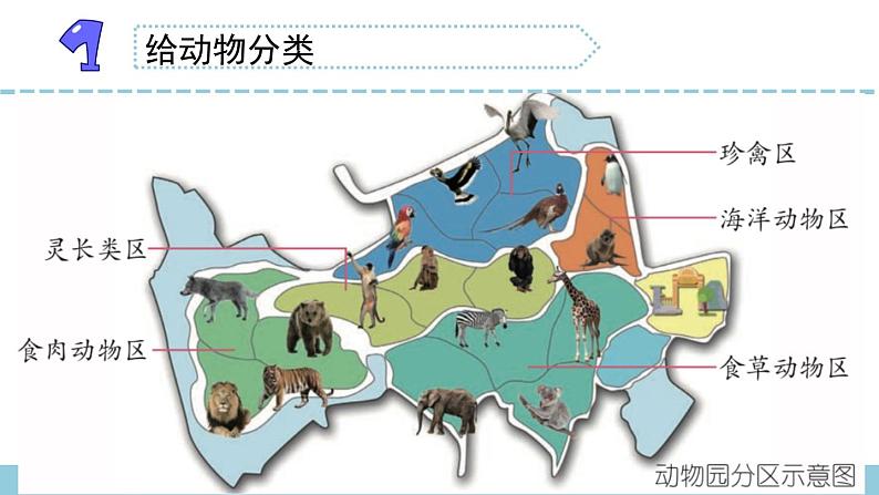 苏教版科学四上 1.给动物分类 课件PPT+教案+练习+视频素材02